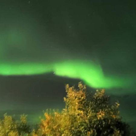 Aurora Rooms In Shared Apartment Nr1 We Are Doing Privet Northen Light Trip, Reindeer Trip And Sommaroy Fjord Trip Tromsø Exterior foto