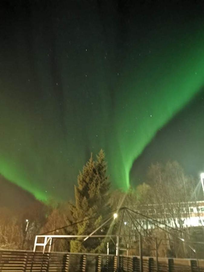 Aurora Rooms In Shared Apartment Nr1 We Are Doing Privet Northen Light Trip, Reindeer Trip And Sommaroy Fjord Trip Tromsø Exterior foto